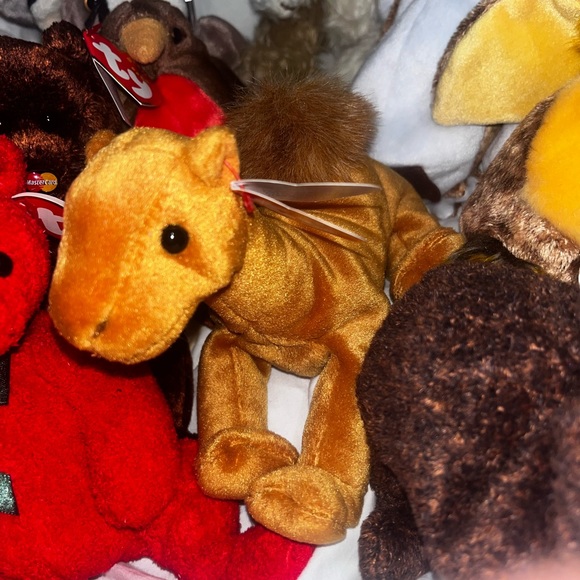 Ty beanie babies! Tags and tush tags all attached. New condition, always stored. - Picture 9 of 16